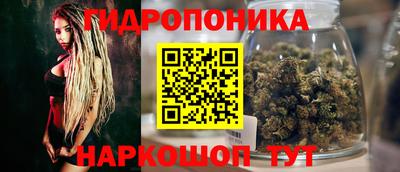 apvp Кинель