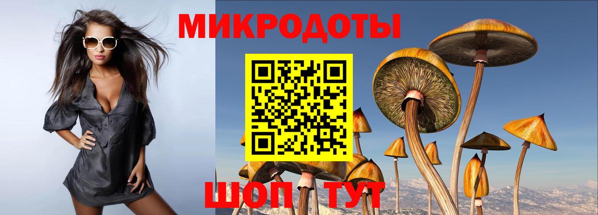 Псилоцибиновые грибы Psilocybe  Вход с VPN  Кириши  Галлюциногенные грибы Psilocybine cubensis 